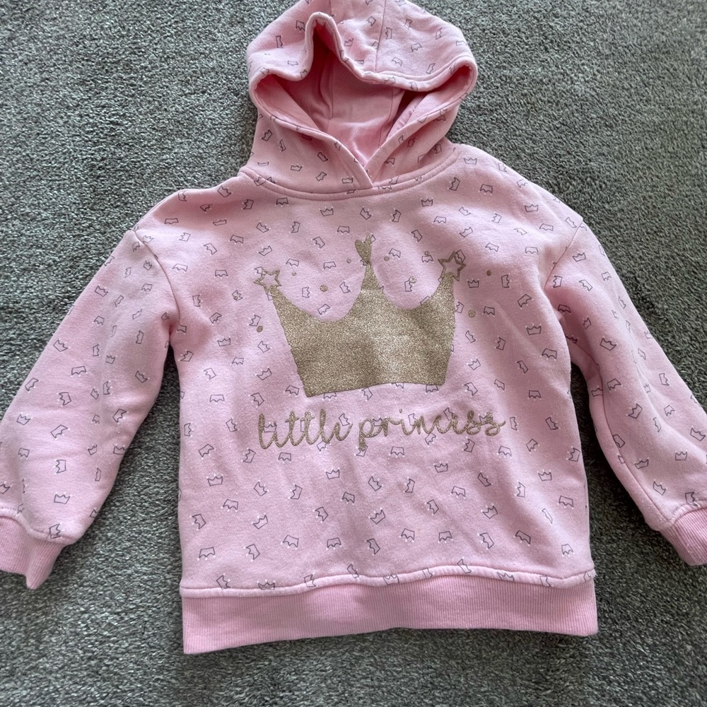 Little Princess Pink Hoodie